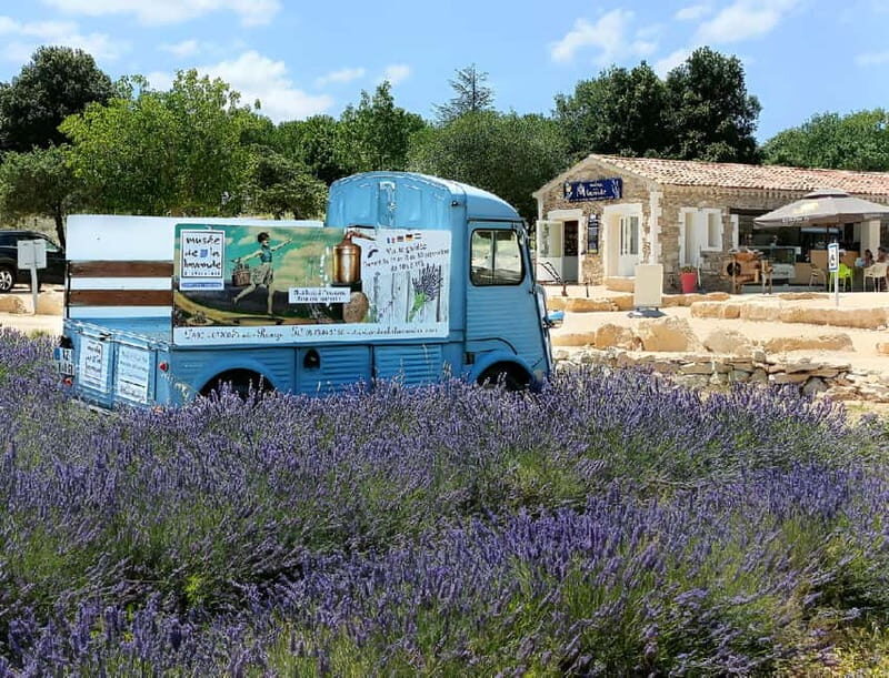 Lavande Guided Tour And Live Distillation - Introduction to the Lavender Experience in France