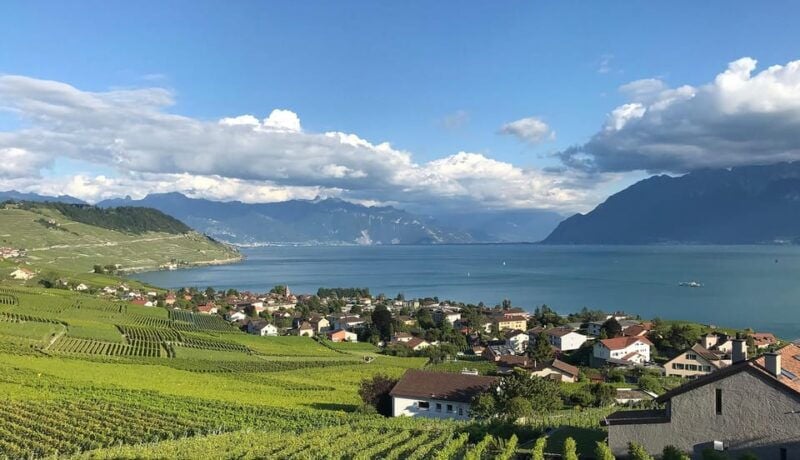 Lavaux: Vineyard Experience - Good To Know