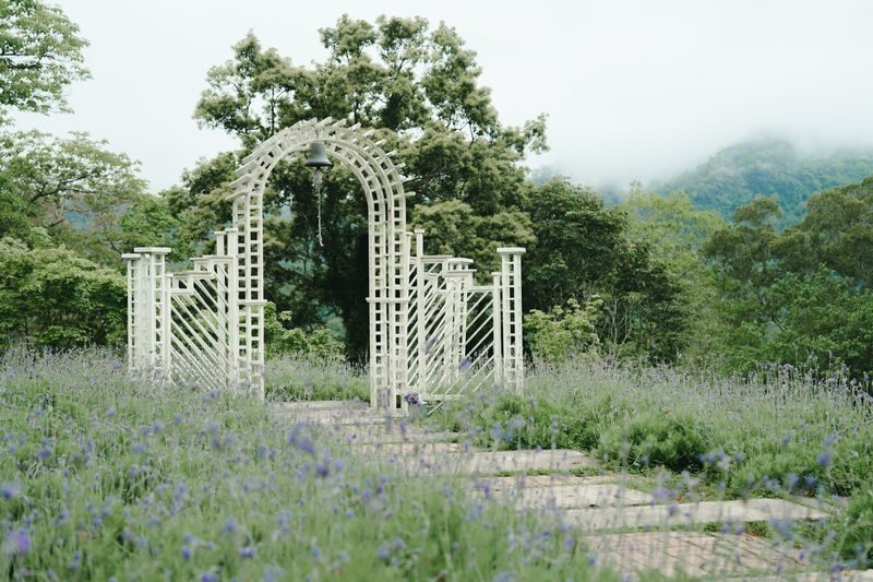 Lavender Cottage Ticket in Hsinchu & Taichung - Flowers, Photos, and the Right Season