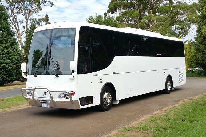 Lavender Farm - Bridestowe Festival of Flowers - Final Thoughts