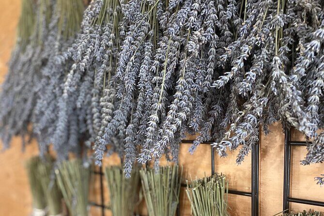 Lavender Farm Experience with Local Lunch, Day Trip from Toronto - Good To Know