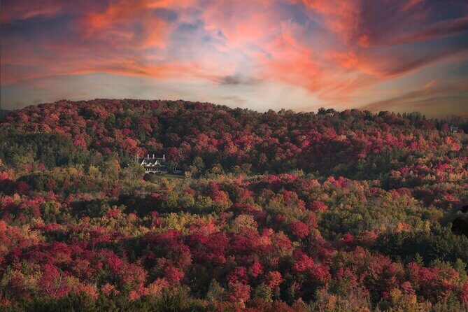 Lavender Farm Experience with Local Lunch, Day Trip from Toronto - Who Will Enjoy This Tour?