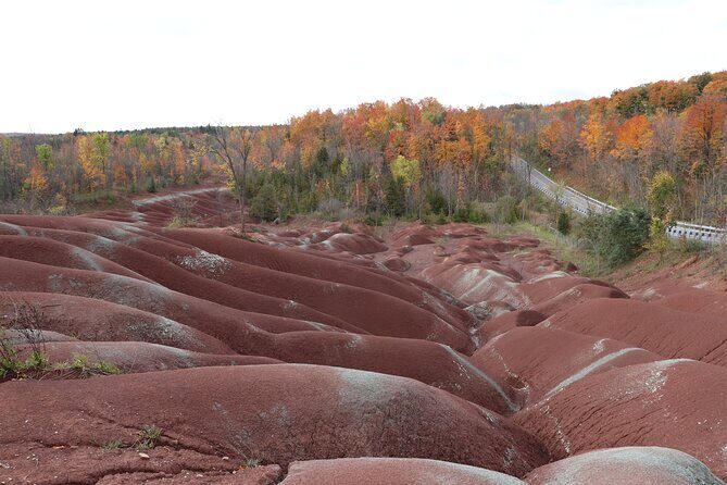 Lavender Farm Experience with Local Lunch, Day Trip from Toronto - FAQ