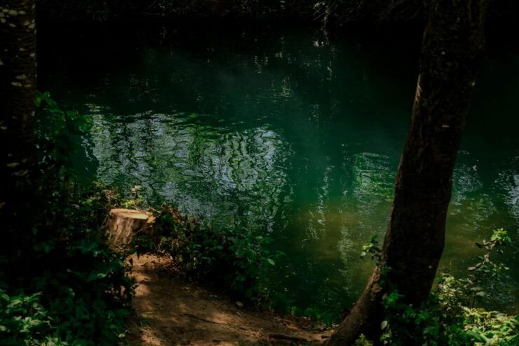 Lavender Fields and Sillans Waterfall Tour - Key Points