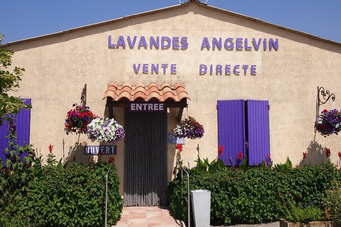 Lavender Fields Tour in Valensole From Marseille - Traveler Photos and Reviews