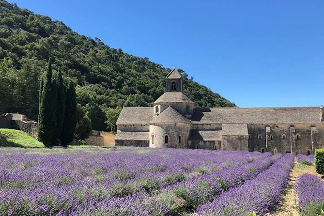 Lavender Fields Visit With Private Transportation - Marseille - Private Transportation Options