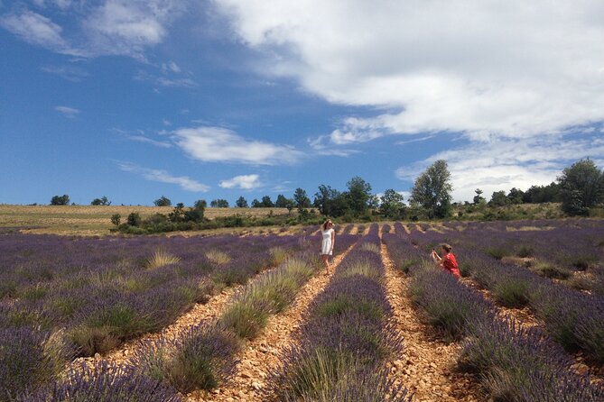 Lavender Full-day Tour in Sault From AIX-EN-PROVENCE - Frequently Asked Questions