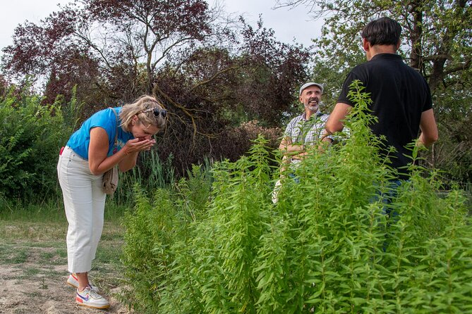 Lavender Harvesting and Distillation Workshop in Bellegarde - Workshop Start Time