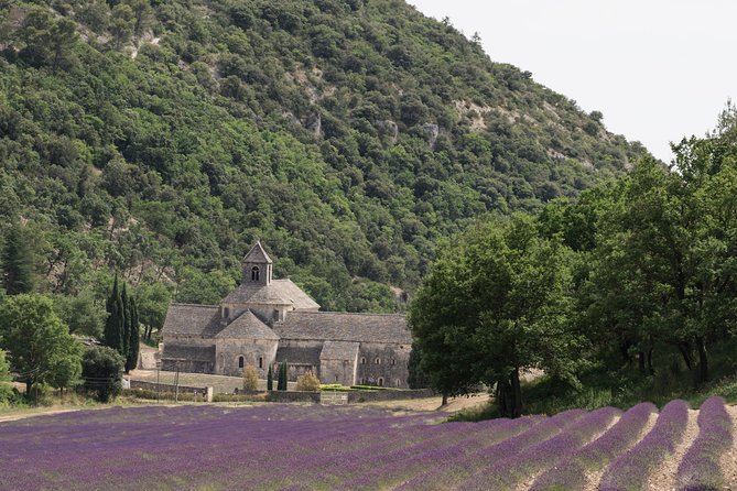 Lavender in Luberon Small Group Half-Day Trip - Dissatisfaction With the Tour