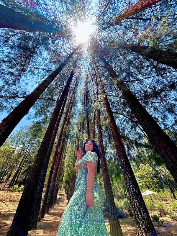 Lavender Ranch, Chautla and Val`Quirico. - What Makes This Tour Stand Out?