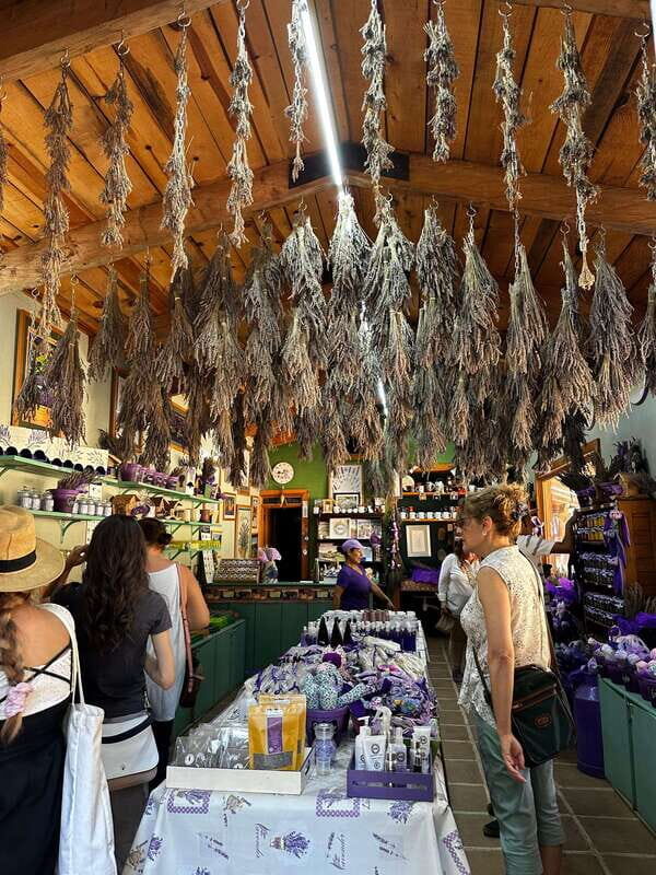 Lavender Ranch, Chautla and Val`Quirico. - Transportation, Guides, and Group Size