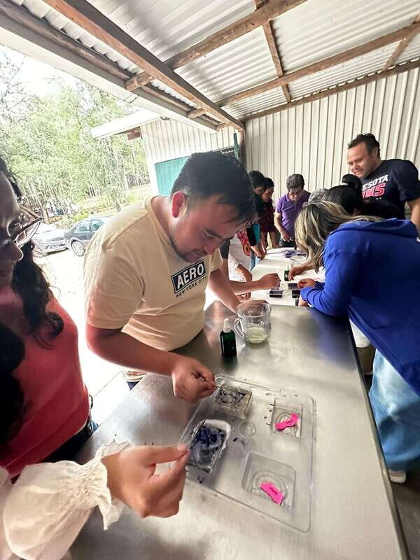 Lavender Ranch, Chautla and Val`Quirico. - Final Thoughts