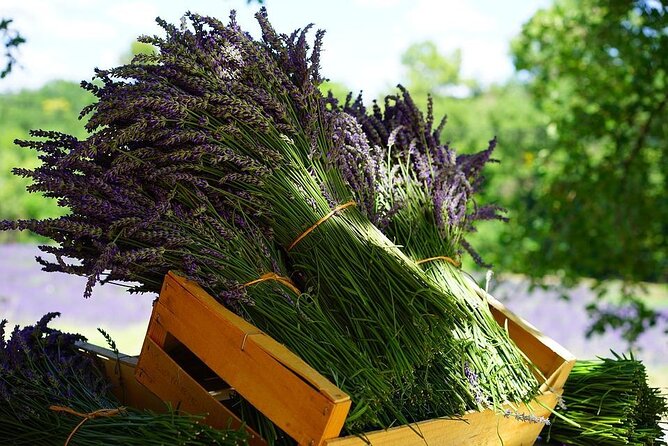 Lavender Tour From Pamukkale With Drop off Denizli Airport - Good To Know
