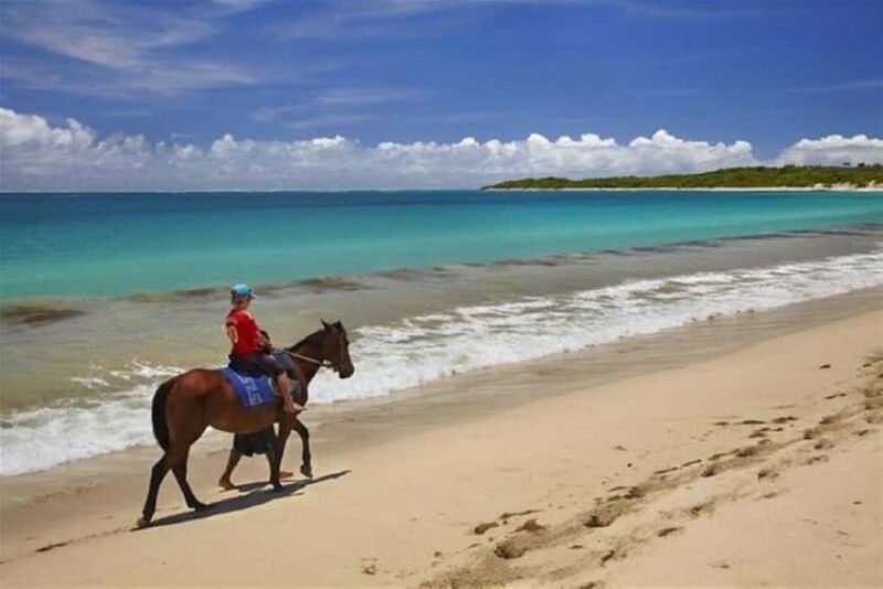 Lawai Pottery Village & Natadola Beach Kava Ceremony & Meke - Practical Details and Tips