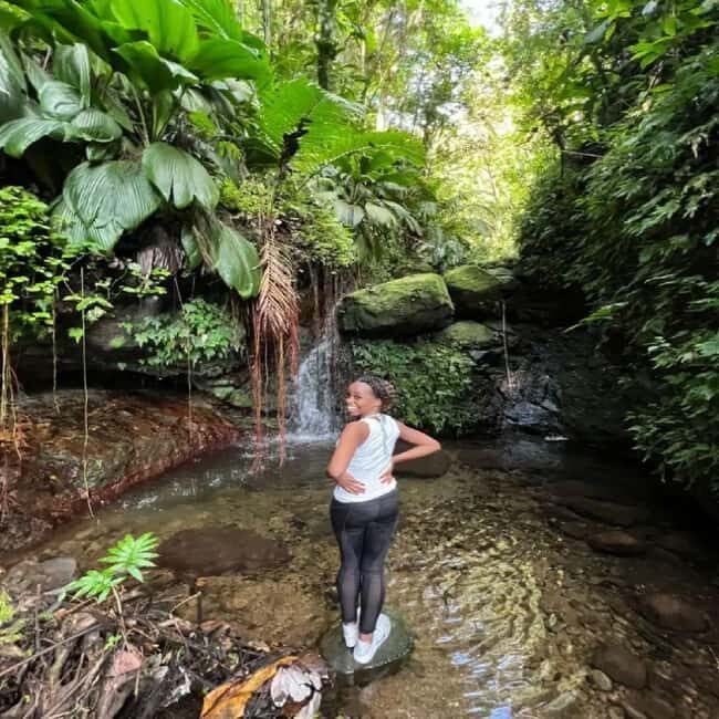 Lawyer Stephen Hike with Waterfall and Cave Hike - Good To Know