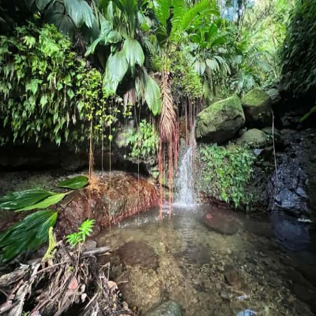 Lawyer Stephen Hike with Waterfall and Cave Hike - What to Expect on the Tour