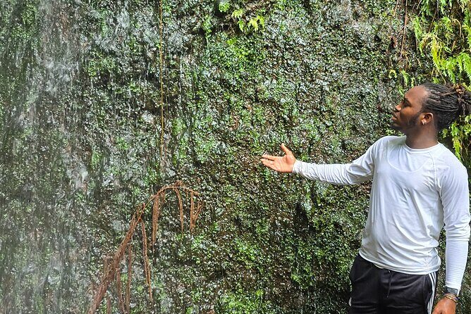 Lawyer Stephens Cave & Waterfalls Hike - Who Will Love This Tour?