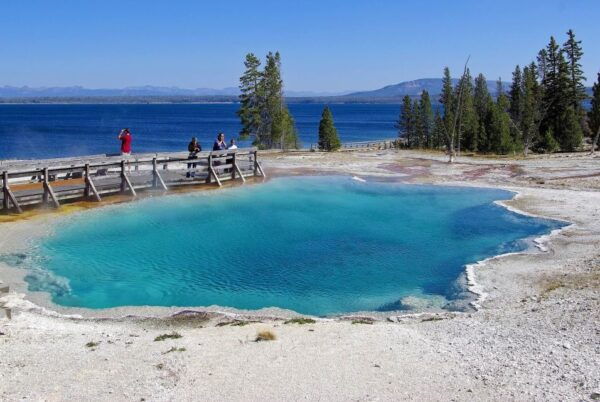 LAX 6-day Tour Unique Yellowstone National Park Experience - Ecological Zone Hot Springs Experience