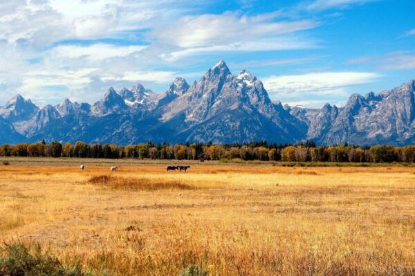 LAX 6-day Tour Unique Yellowstone National Park Experience - Frequently Asked Questions
