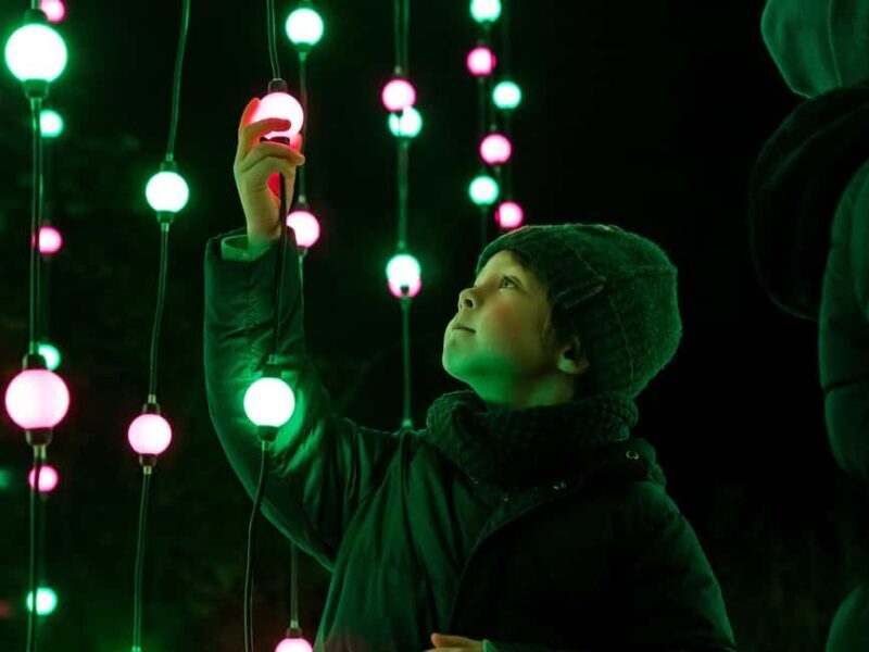 Laxenburg Palace Gardens: ILLUMINA Austria's biggest light garden - ticket - Good To Know