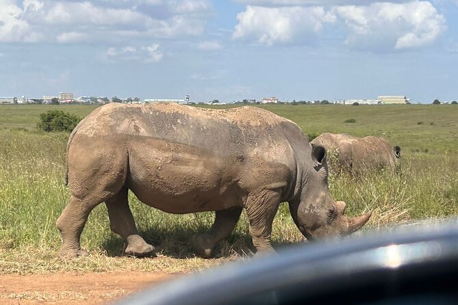 Layover and Stopover in Nairobi Private Tour - Private Tour/Activity