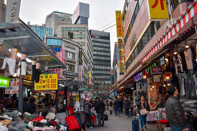 Layover & Stopover in Seoul/private Tour - Additional Tour Information