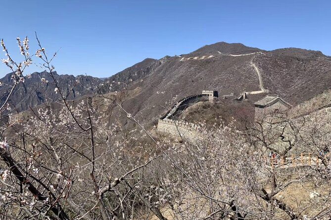 Layover Trip to Great Wall with English Driver in Beijing - Detailed Breakdown of the Itinerary