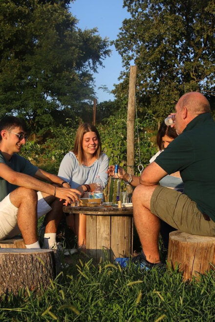 Lazise: Beekeeping Farm Family Experience, the World of Bees - Tasting the Local Flavors