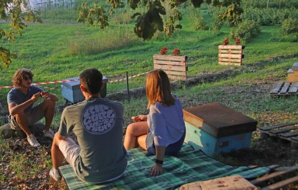 Lazise: Beekeeping Farm Family Experience, the World of Bees - Booking and Meeting Information