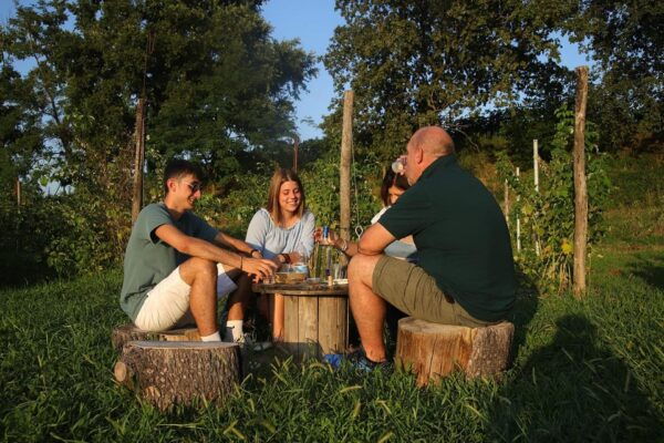Lazise: Beekeeping Farm Family Experience, the World of Bees - Frequently Asked Questions