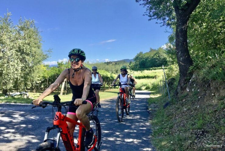 Lazise: Bike Tour and Wine Tasting - Activity Details
