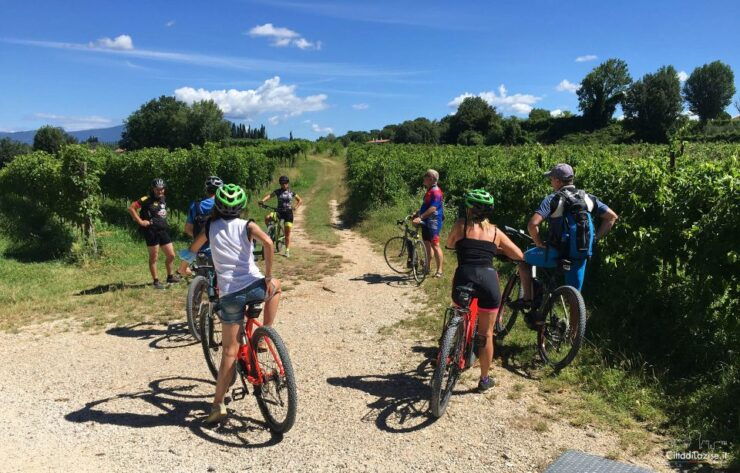 Lazise: Bike Tour and Wine Tasting - Review Summary