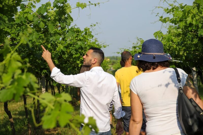 Lazise: Biodynamic Farm Tour and Natural Wine Tasting - Exploring the Experience in Detail