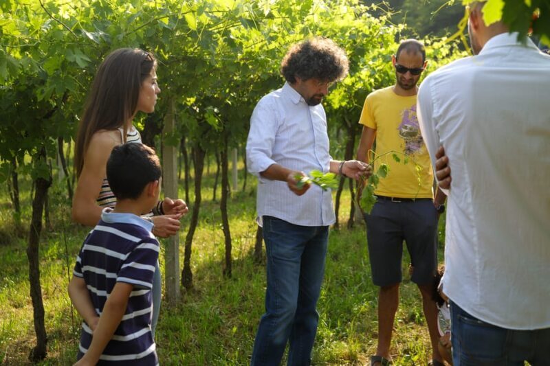 Lazise: Biodynamic Farm Tour and Natural Wine Tasting - Final Thoughts