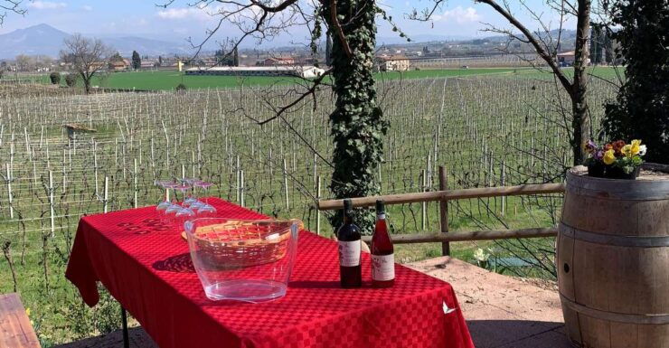 Lazise: Biodynamic Farm Tour and Natural Wine Tasting - Good To Know