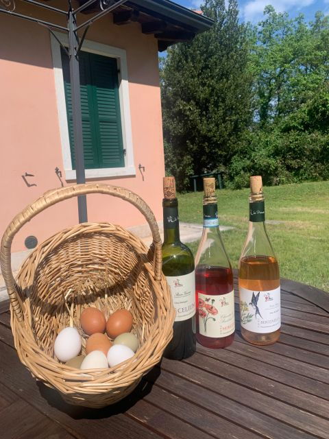 Lazise: Biodynamic Farm Tour and Natural Wine Tasting - Biodynamic Farming Insights