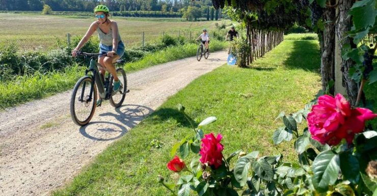 Lazise: Countryside E-Bike Tour With Wine Tasting - Meeting Point Logistics