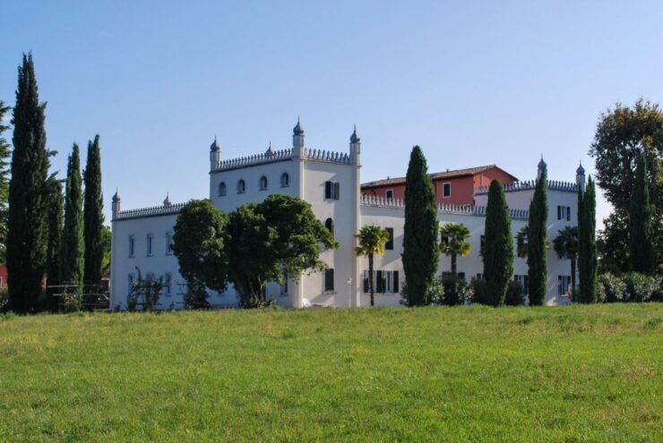 Lazise: Guided Wine Tour With Lake Views at a Historic Villa - Tour Highlights