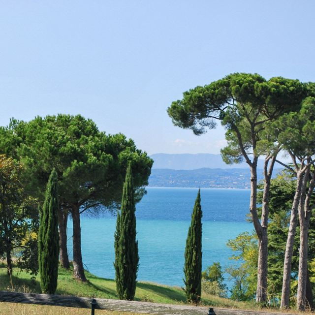 Lazise: Guided Wine Tour With Lake Views at a Historic Villa - Inclusions