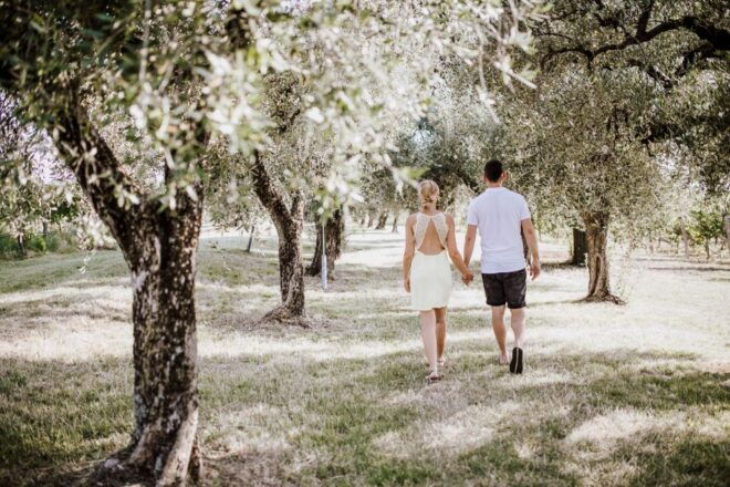 Lazise: Guided Wine Tour With Lake Views at a Historic Villa - Booking Details