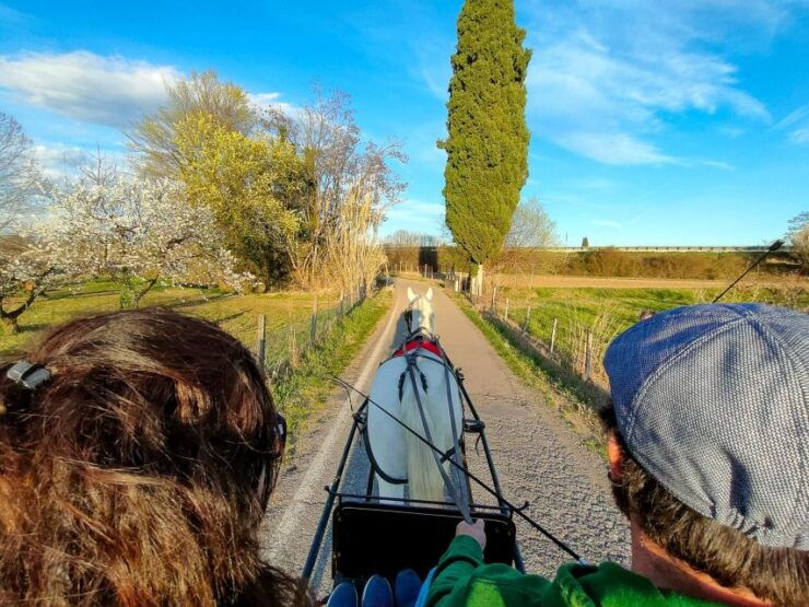Lazise: Horse Carriage Tour With Tasting of Local Products - Good To Know