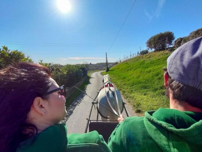 Lazise: Horse Carriage Tour With Tasting of Local Products - Restrictions