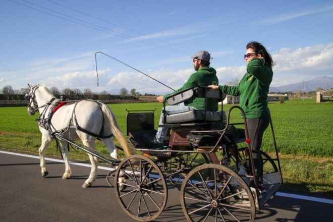 Lazise: Horse Carriage Tour With Tasting of Local Products - Additional Information