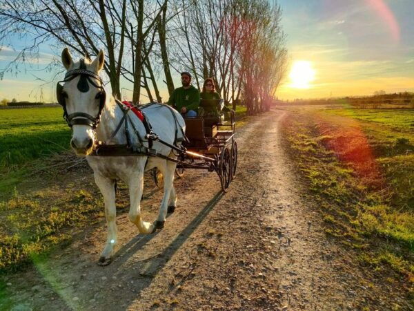 Lazise: Horse Carriage Tour With Tasting of Local Products - Frequently Asked Questions