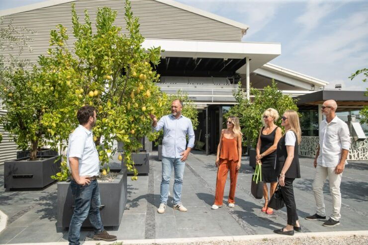 Lazise: Vineyard Tour and Organic Wine Tasting - Tour Pricing and Duration