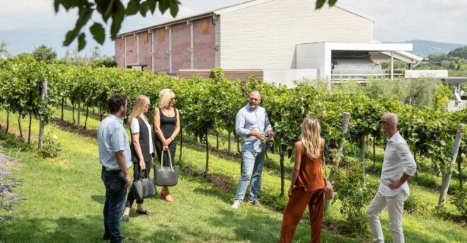 Lazise: Vineyard Tour and Organic Wine Tasting - Itinerary and Customer Reviews