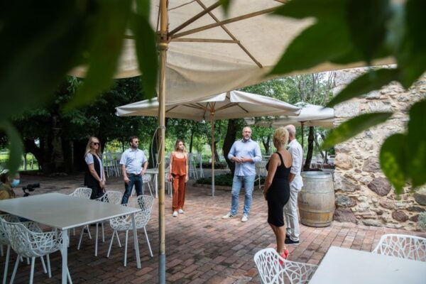 Lazise: Vineyard Tour and Organic Wine Tasting - Frequently Asked Questions