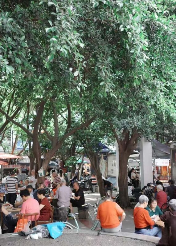 Lazy Citywalk for Tea Lovers | Sip, Stroll & Feel Chengdu - Final Thoughts