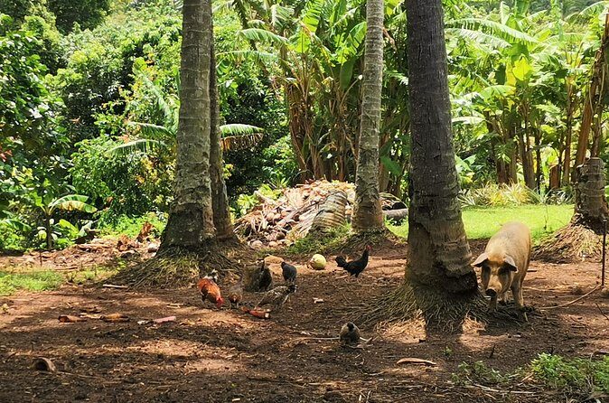 'Lazy Sunday' Sunday Bicycle Tour - Who Would Love This Tour?