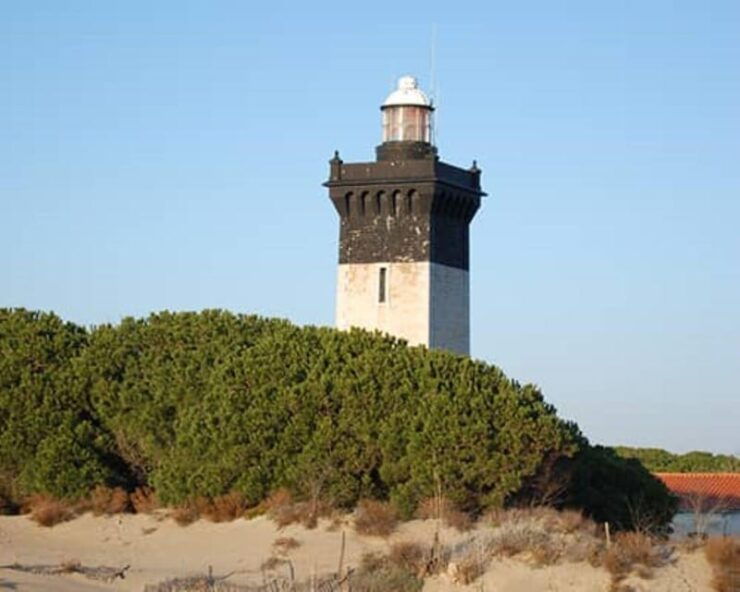 Le Grau-du-Roi: Coastal Discovery Sightseeing Cruise - Key Points